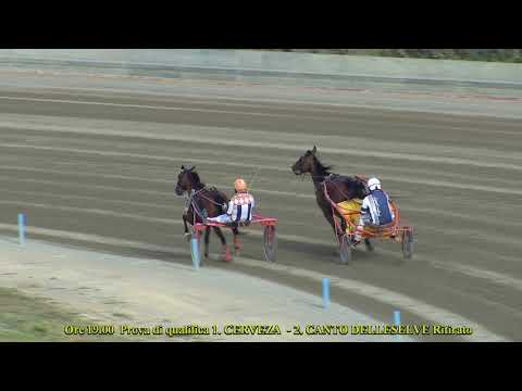 Prova di qualifica 3 anni del 19 giugno 2021 - Cerveza G. Lo Verde