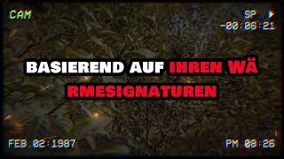 Frau heuert Killer an, um ihren „einfachen Mechaniker“ zu töten – doch er war ein Elite-Agent