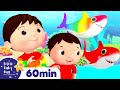 Baby Shark Dance Rainbow Shark More Nursery Rhymes ABCs And 123s Little Baby Bum