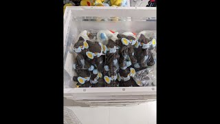 【ーー(；´Д｀)！？】ポケモンＧＯフェスト2022！！二日目【は、博士！？】