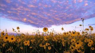 Lifescapes- Music for Stress Relief "Stillness"