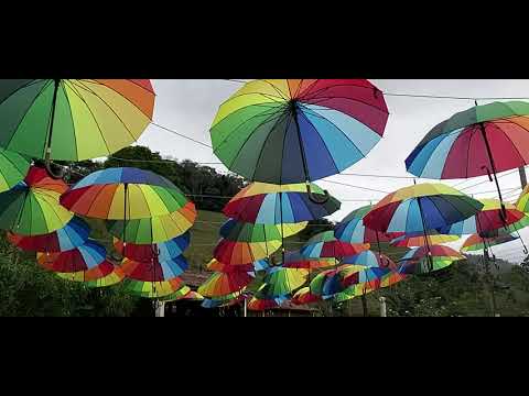 SOMBRINHAS EMBELEZAM A PRAÇA SÃO PEDRO EM TERRAS FRIAS. SANTA MARIA  MADALENA. 8 de outubro de 2021.