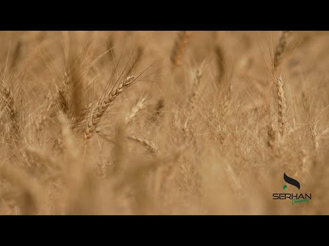  Serhan Company  | Trailer