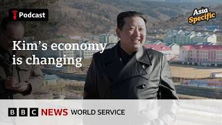 How North Korea is getting richer despite sanctions - Asia Specific podcast, BBC World Service