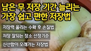 남은 무 저장 기간 늘리는 가장 쉽고 편한 저장법 - 이대로만 해도 몇 달은 충분해요