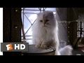 Stuart Little 2 2002 In The Can Scene 7 10 Movieclips