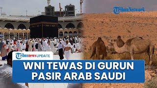 Kronologi WNI Ditemukan Tewas di Gurun Arab Saudi, Diduga Hendak Haji Ilegal bersama 2 Rekannya