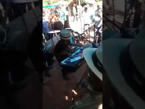 Piauí forrozeiro de  campo maior.