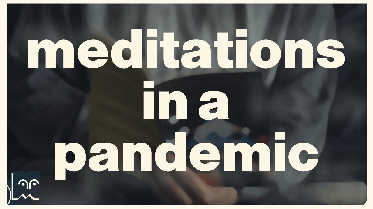 Meditations in a Pandemic (an Isolation Film) || laMovida Vignettes