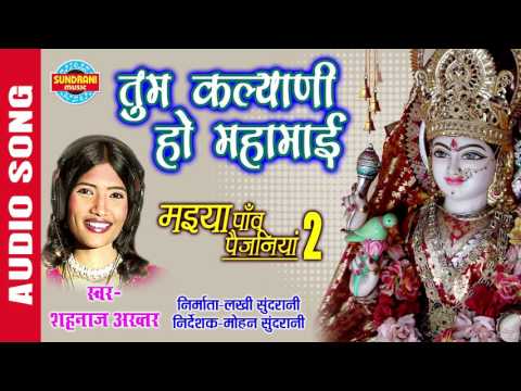 तुम कल्याणी हो महारानी जगदम्बे माँ कल्याणी हो लिरिक्स