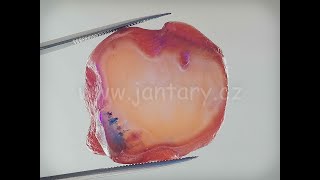 Okno do rovenského jantaru UO-5