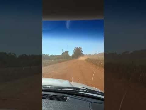 Estrada de Mato Rico a Roncador PR #shorts #rural #estradadeterra #agro #matorico #roncador