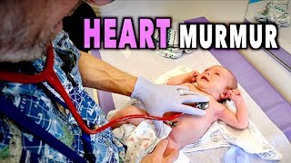 NEWBORN HEART MURMURS: What You Need to Know | Dr  Paul