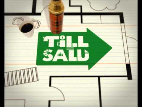 Kanal 5 Till Salu Vinjett