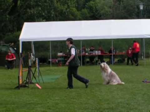 Arty Morty 02.05.2010 Gernsheim A1 Large