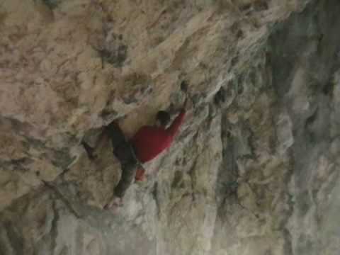 
Coviltir 8a
