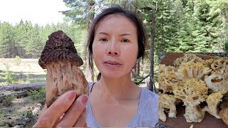 มาทักทายทุกคนพร้อมพาเดินป่าเห็ดครั้งแรกของปี2021