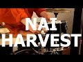 Nai Harvest - "Buttercups" Live at Little ...