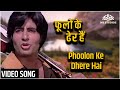 फूलों के डेरे हैं साये घनेरे हैं Zameer Amitabh 