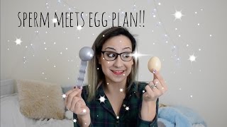 SPERM MEETS EGG PLAN!!