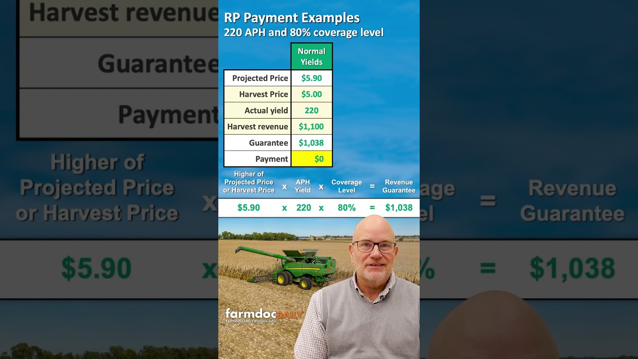 Revenue Protection Payment Examples #shorts