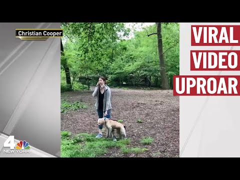 Amy Cooper, Woman Who Called Police On Black Man in Central Park, Charged | NBC New York