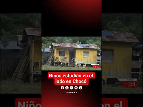 Sin salones de clase y en medio del lodo estudian niños de la zona rural de Riosucio, Chocó.
