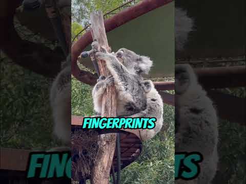 “Weird Fun Facts That Sound Fake (But Are True)”