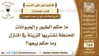 9159 - حكم الطيور والحيوانات المحنطة نشتريها للزينة في المنازل وما حكم بيعها؟ - نور على الدرب image