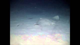 Unión de oxigéno, agua y luz.....originan vida!!!!