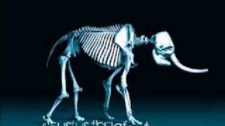 Agustus Thelefant - When The Smoke Clears