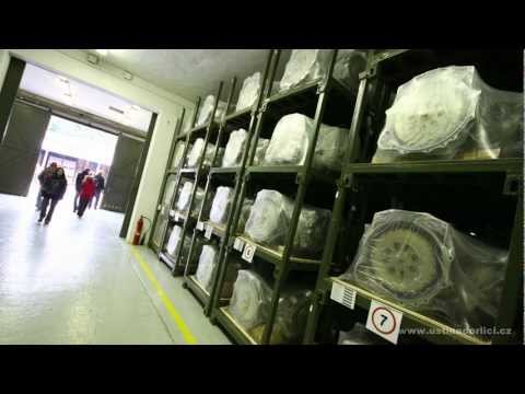 POSÁDKA V KERHARTICÍCH ZEŠTÍHLÍ