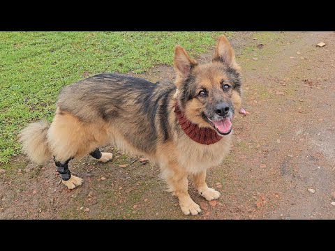 WE HAVE DISCOVERED A RUNNING PATH - Aresław keeps fit