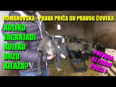 ROMANOVSKA - konkretno - ŠTA JE PRIČA A ŠTA JE STVARNOST - koliko se brzo tovi jagnje?? PRAVI ČOVEK!