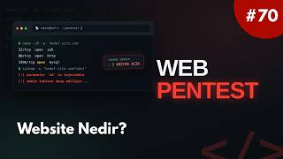 Websitesi Bilgi Toplama: Giriş / Web Sitesi Nedir?