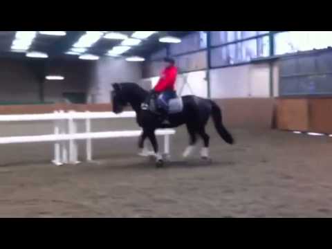 Question at Moulton College