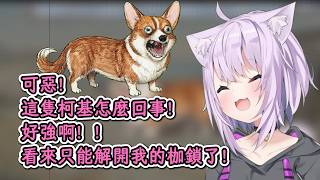 貓狗大戰！連柯基都打不過的小粥（解放前）【貓又小粥】【hololive中文精華】【ホロライブ切り抜き】