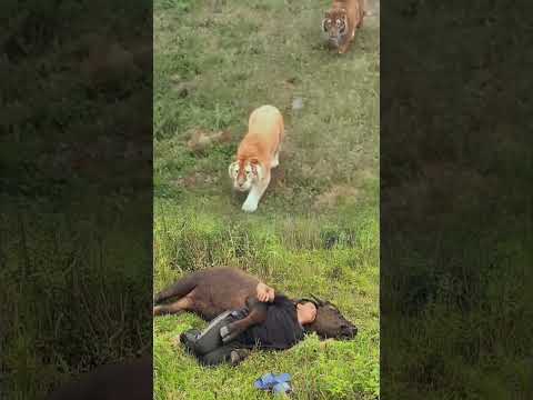 Get close to wild animals and see the various aspects of life in the animal world