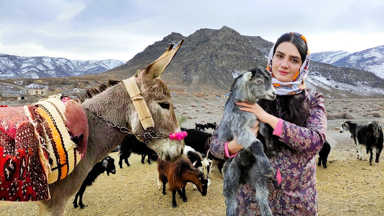 Village Lifestyle Iran: Amazing Cooking & Donkey Riding By A Girl