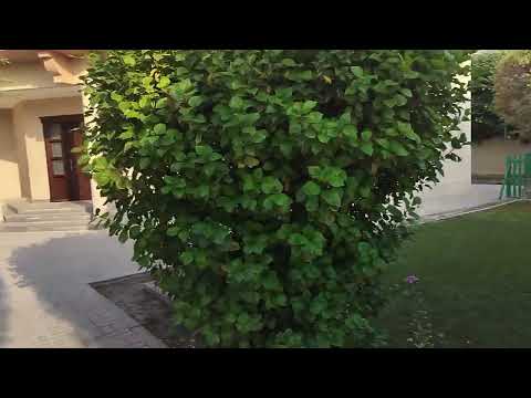 Property video thumbnail