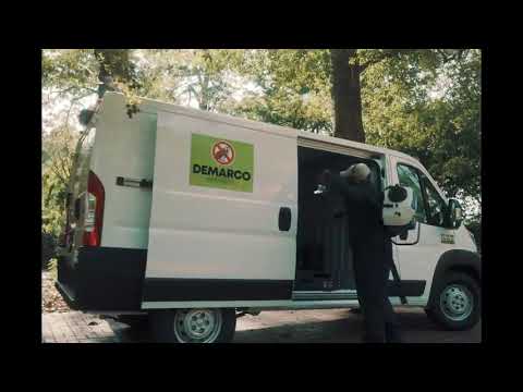 Demarco x Steven marley- 'Dance my stress away'(official music video)