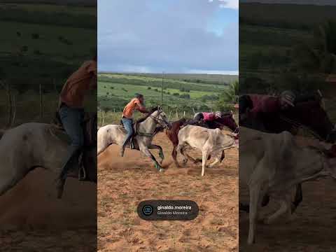 Bolão de Vaquejada - Maracaiá - Água Fria - Bahia