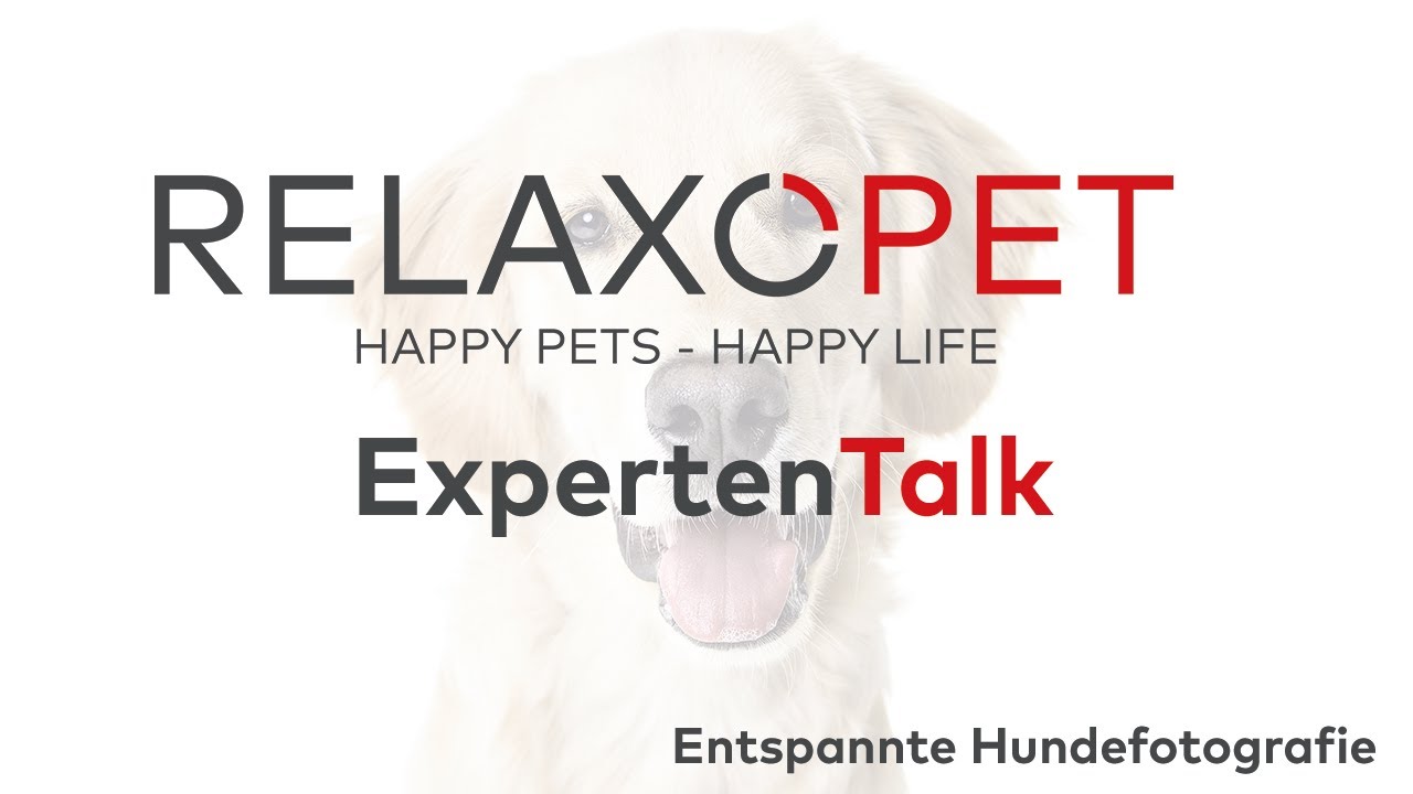Expert Talk No. 3 - Relaxed Dog Photography