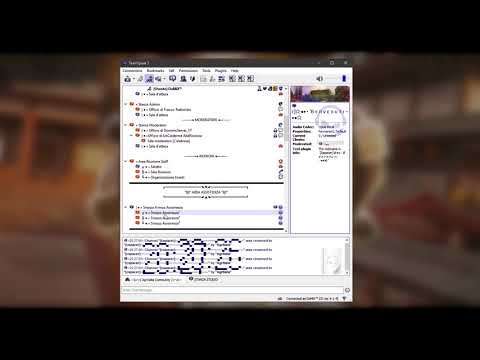 IL NOSTRO SERVER TEAMSPEAK!
