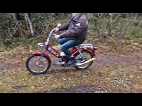 Videoklipp