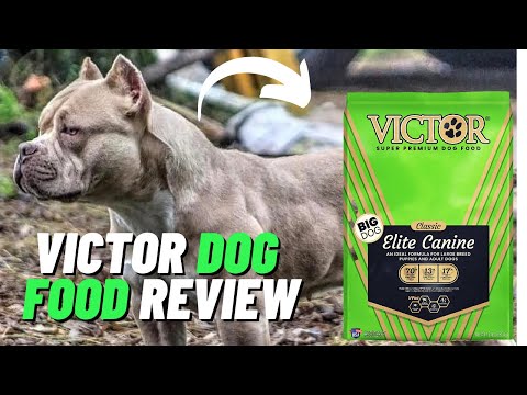 victor dog food review (Is it worth it in 2023?)