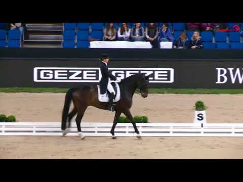 iWEST-Dressur-Cups 2017 - Sabine Klenk/Friedolin