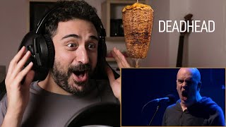 Arab Man Reacts to DEVIN TOWNSEND PROJECT - Deadhead [LIVE at Royal Albert Hall]