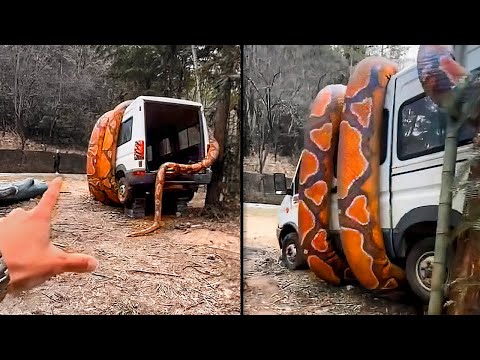 Was sie an diesem Ort sahen, machte sie sprachlos