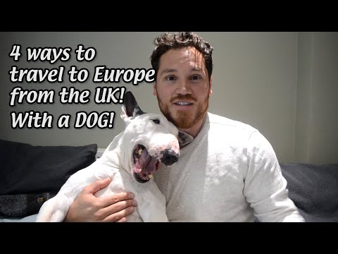 4 ways to travel to EUROPE from the UK with your DOG